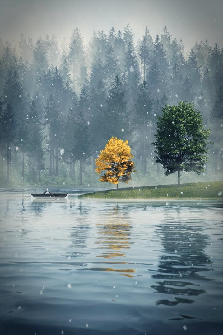 湖面森林场景