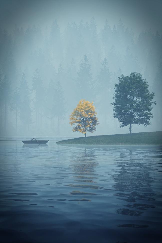 雾中湖景